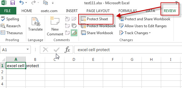 excel cells protectio21