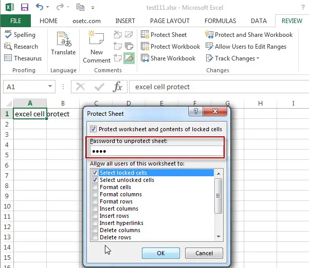 excel cells protection3