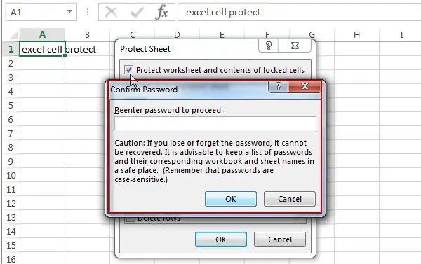 excel cells protection4