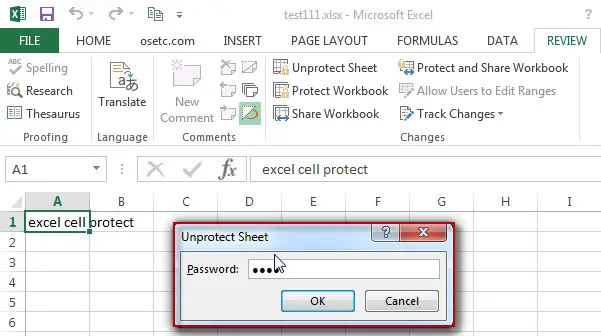 excel cells protection5