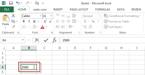 excel cells2