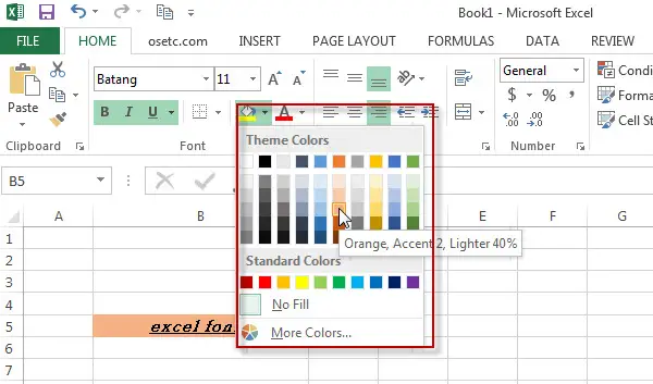 excel fill format1