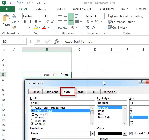 excel font format 1