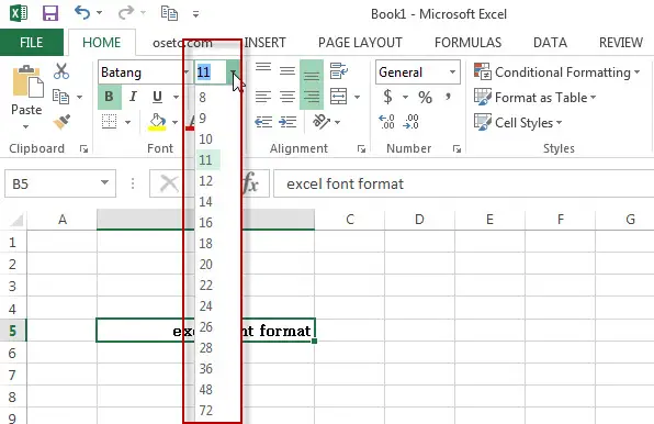 excel font format 3