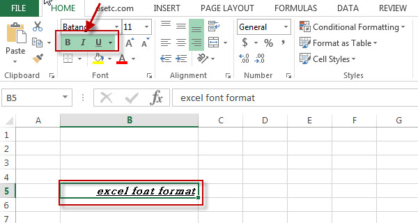 excel font format 4