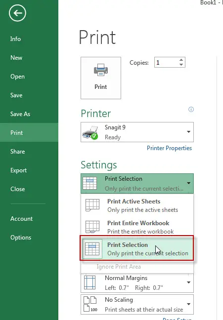 excel print selection
