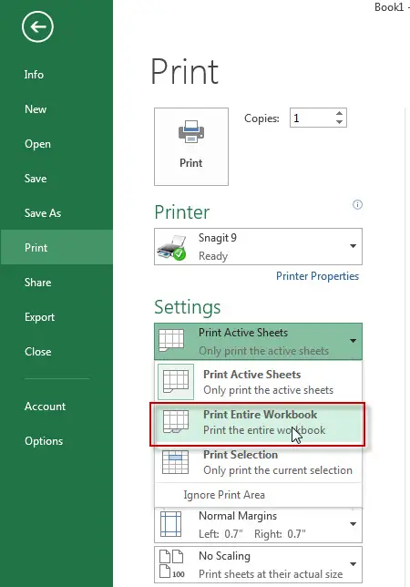 excel print workbook