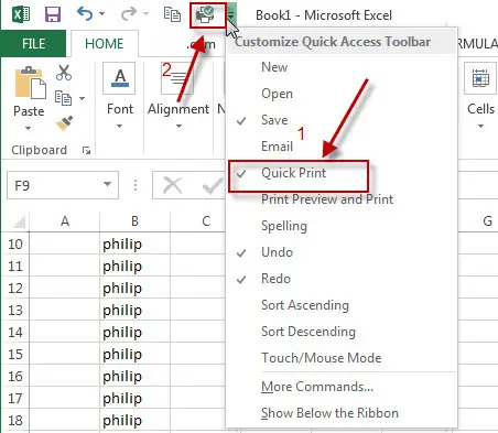 excel quick print