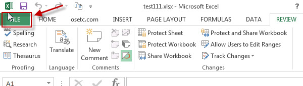 excel template 1