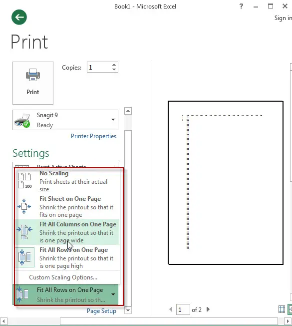 print scaling