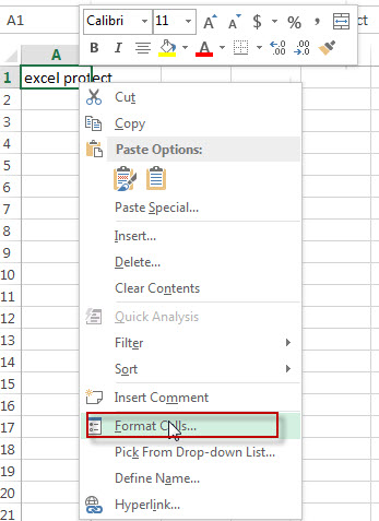 Record a VBA Macro