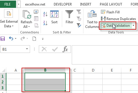 Data Validation for Specified Text only1