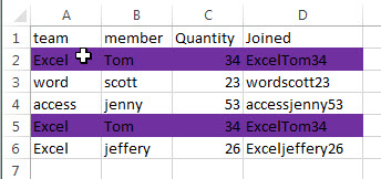 highlight duplicate rows16