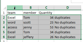 highlight duplicate values1