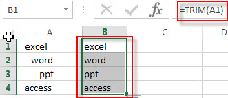 remove leading and trailing spaces1