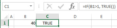 excel true examples1