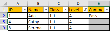 How to Fill Same TextsComments in Filtered List 5