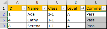 How to Fill Same TextsComments in Filtered List 6