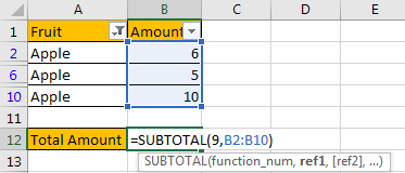 How to Only Sum Visible CellsRows in a Filtered List3