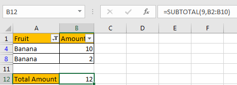 How to Only Sum Visible CellsRows in a Filtered List7