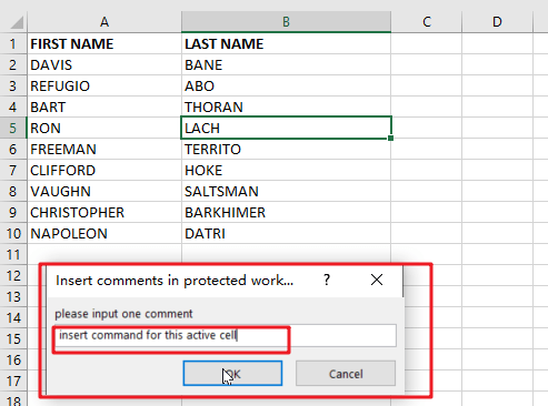 insert commetns in protected workshee3
