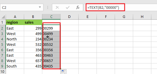 Add Leading Zeros To Numbers1