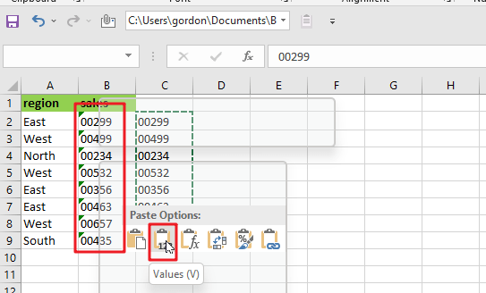 Add Leading Zeros To Numbers1