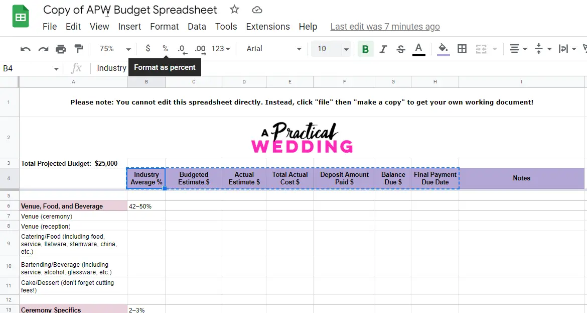 free wedding budget template2-1