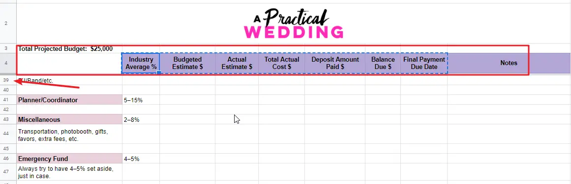 free wedding budget template2-1