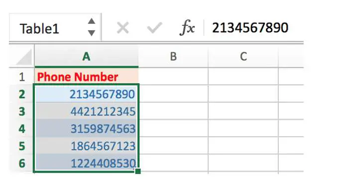  Phone Number Format in Excel 