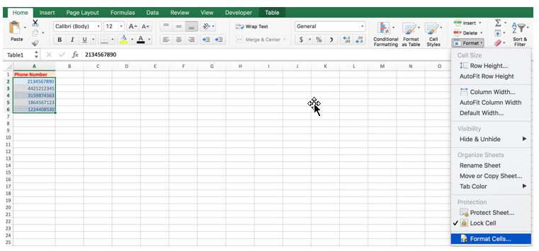  Phone Number Format in Excel 
