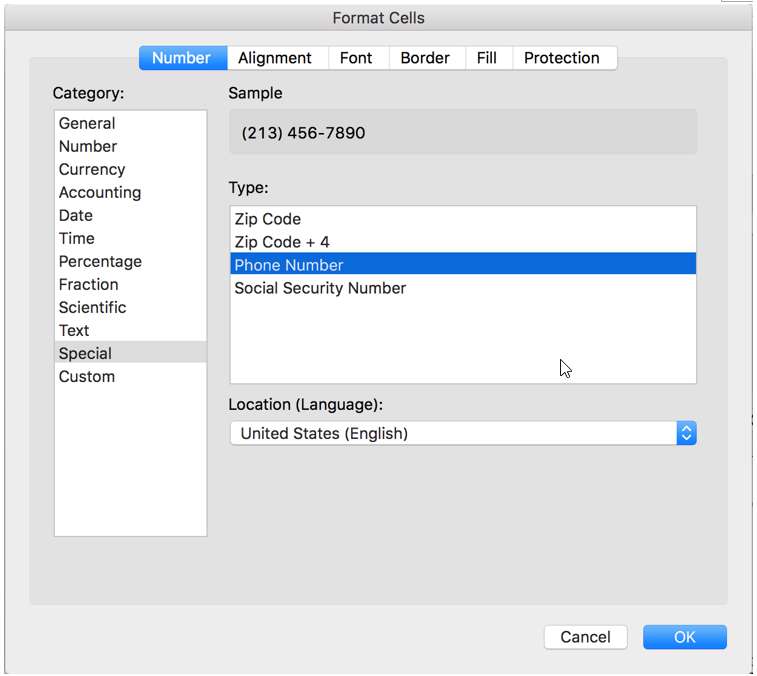  Phone Number Format in Excel 