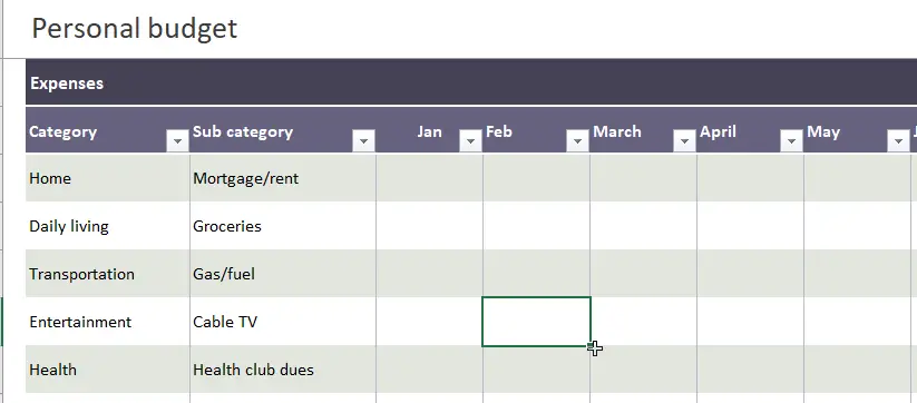 Basic personal budget