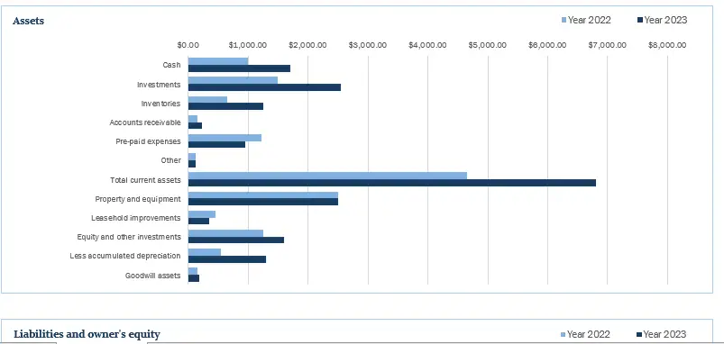 Blue balance sheet1