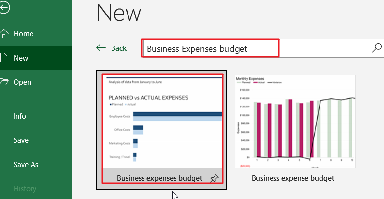 Business Expense Budget