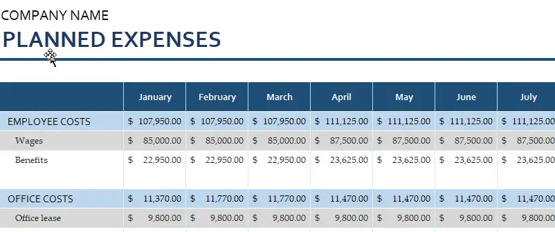 Business Expense Budget