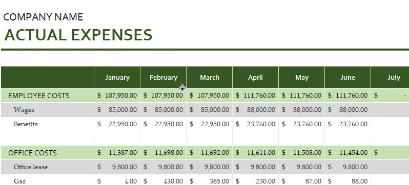 Business Expense Budget