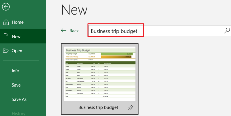 Business trip budget 