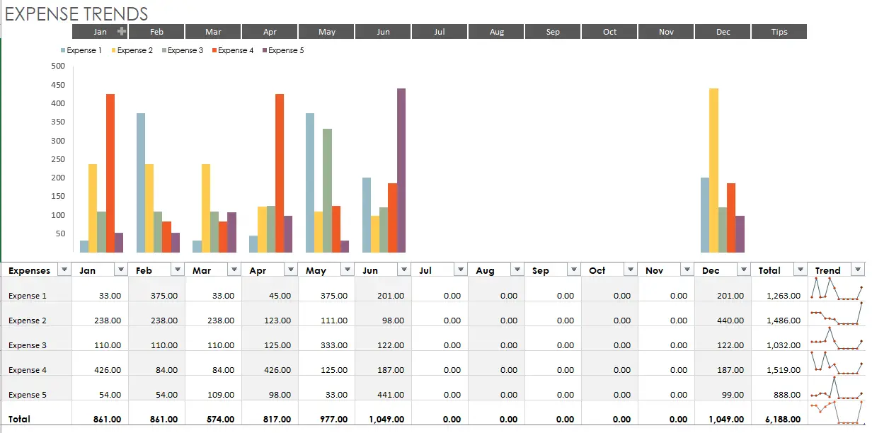 Expense trends budget1