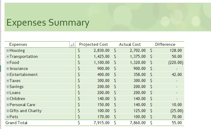 Family budget(monthly) template