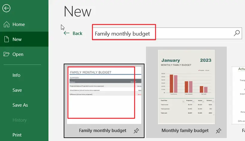 Family monthly budget