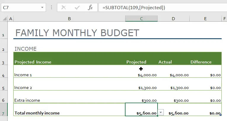 Family monthly budget