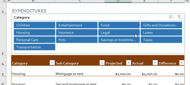 Family monthly budget