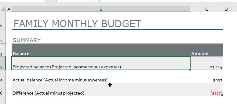 Family monthly budget