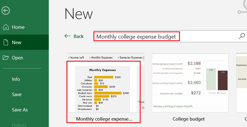 Monthly college expense budget