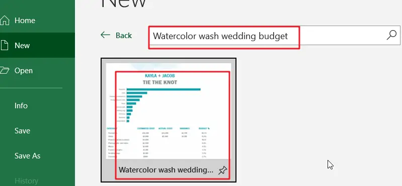 Watercolor wash wedding budget 