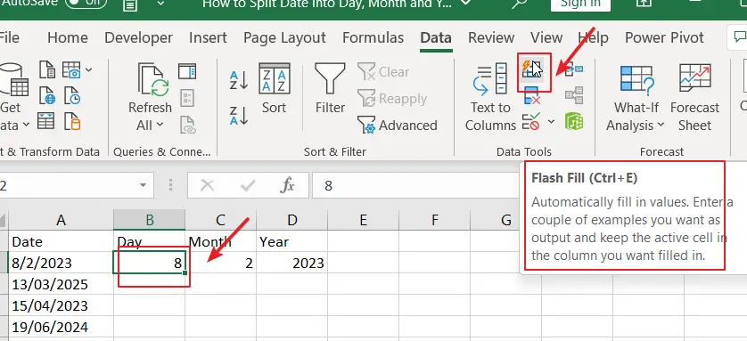 How to Split Date into Day, Month and Year flash fill 2.png